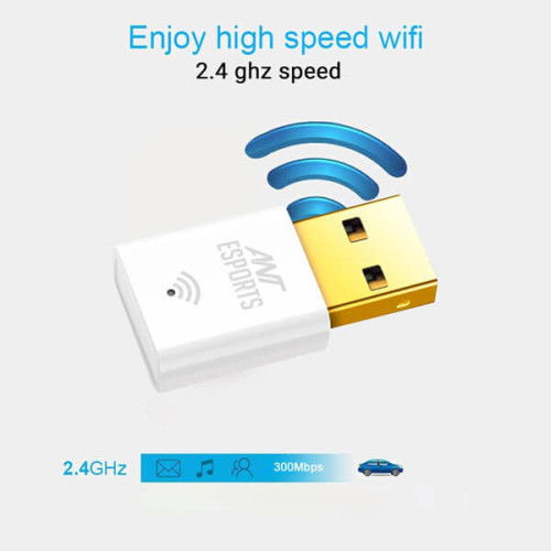 Ant Esports AE300D 300 Mbps Wi-Fi and DVR Nano Dongle (White)