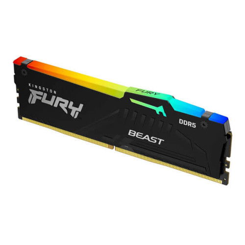 Kingston Fury Beast RGB XMP 16GB (16GBx1) DDR5 6000MHz Desktop RAM (Black)