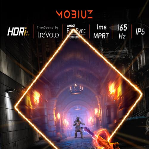 BenQ MOBIUZ EX2510S Gaming Monitor