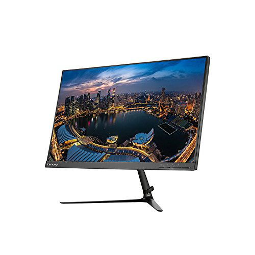 Lenovo L24I-10 24 Inch Monitor