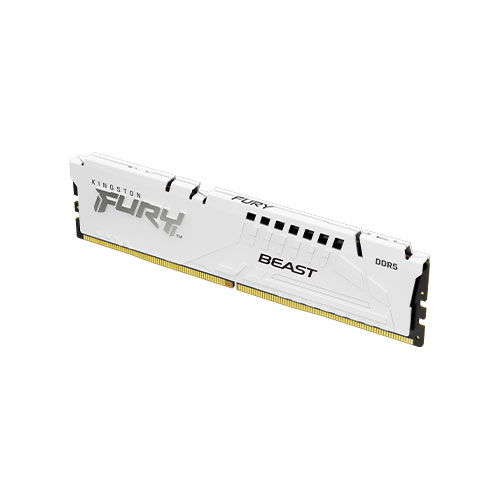 Kingston Fury Beast 16GB (16GBx1) DDR5 Desktop RAM (White)