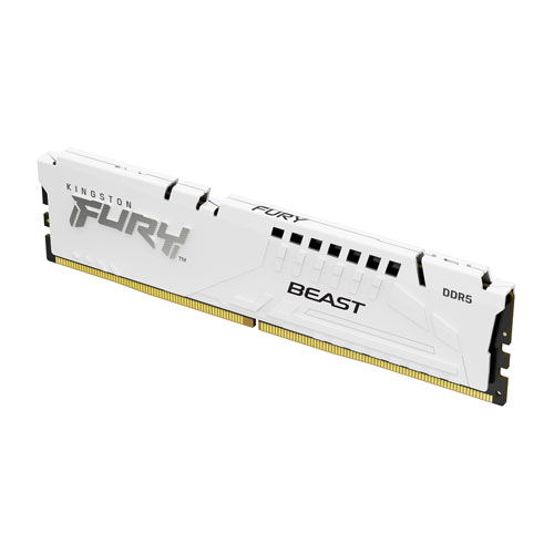 Kingston Fury Beast 16GB (16GBx1) DDR5 6000MHz Desktop RAM (Black)