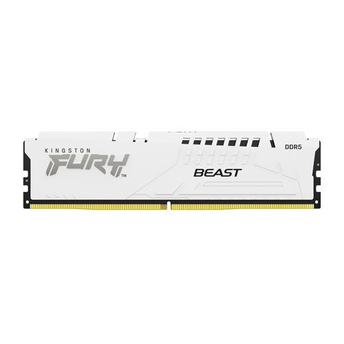 Kingston Fury Beast 16GB (16GBx1) DDR5 6000MHz Desktop RAM (Black)