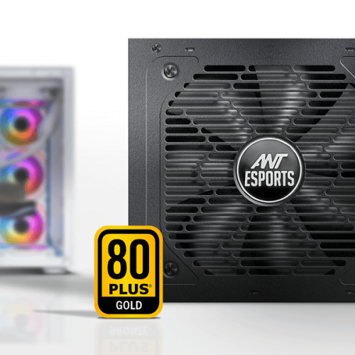 Ant Esports FG750 750 Watt 80 Plus Gold SMPS