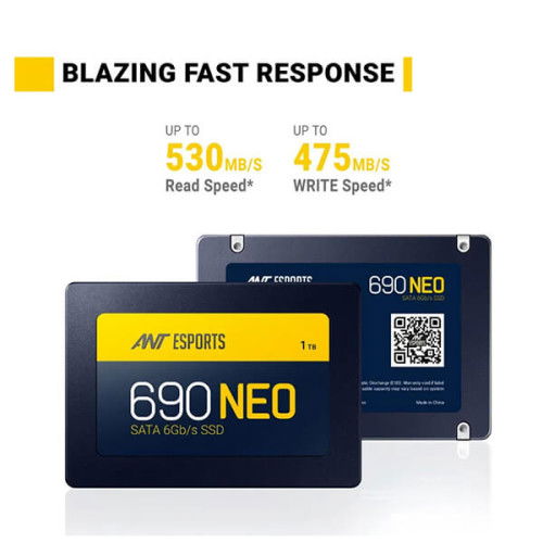 Ant Esports 690 Neo 1TB Internal SSD