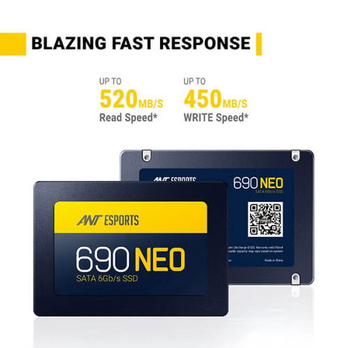 Ant Esports 690 Neo 256GB Internal SSD