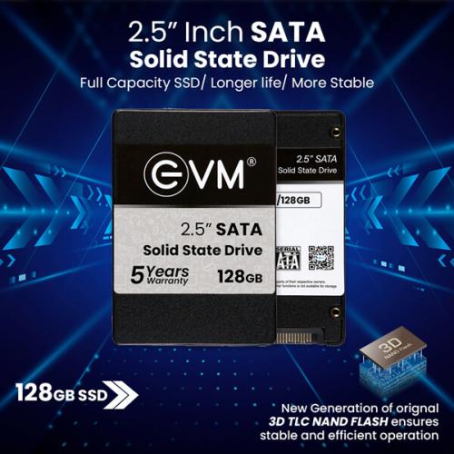 EVM 128GB Internal SSD (EVM25/128GB)