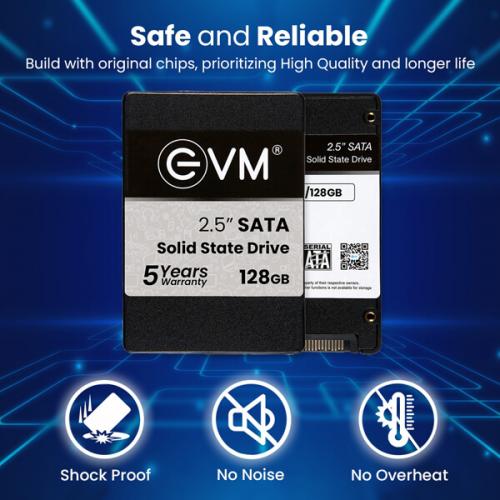 EVM 128GB Internal SSD (EVM25/128GB)