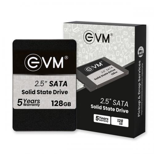 EVM 128GB Internal SSD (EVM25/128GB)