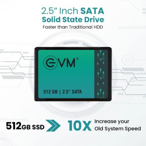 EVM 512GB Internal SSD