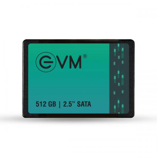 EVM 512GB Internal SSD