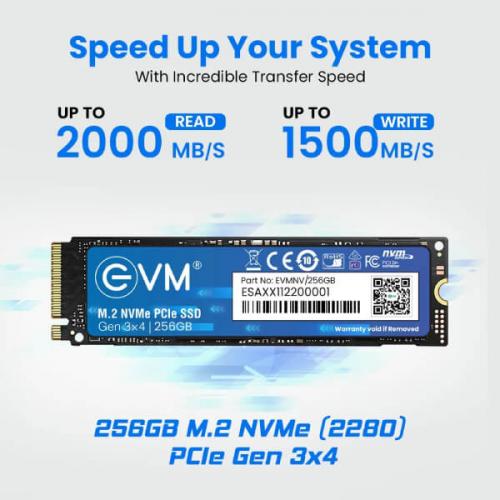 Evm 256GB M.2 NVMe Gen3 SSD