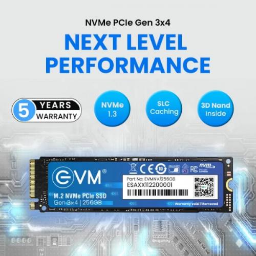 Evm 256GB M.2 NVMe Gen3 SSD