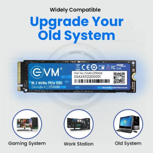 Evm 256GB M.2 NVMe Gen3 SSD