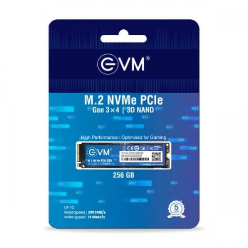 Evm 256GB M.2 NVMe Gen3 SSD